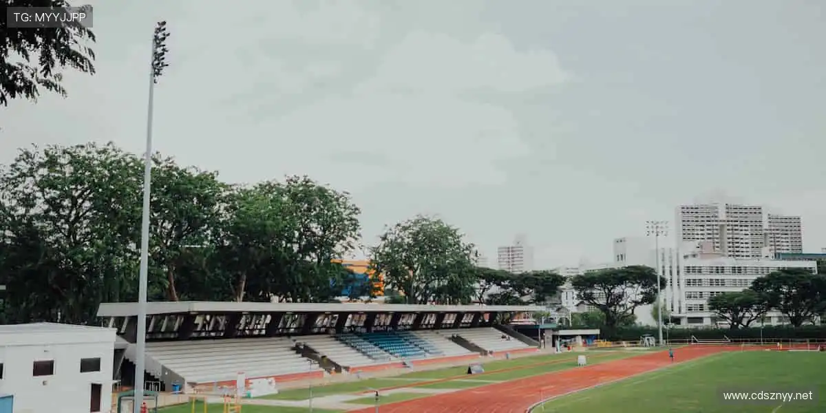 一键解锁赛事门票，畅享现场激情！